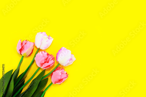 natural decorative pink tulips with green leaves for women's day © Mari