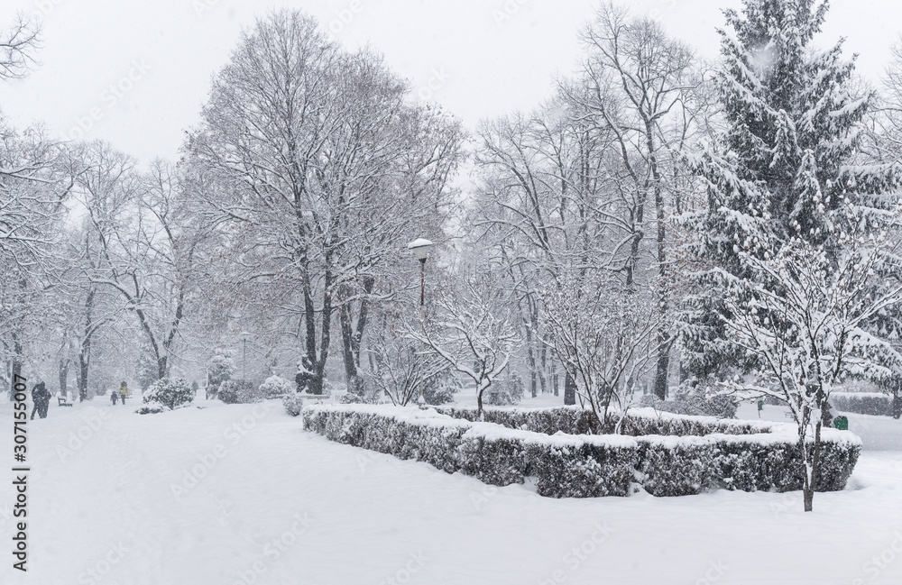 Fototapeta premium Empty park covered with heavy snow in the cold winter day