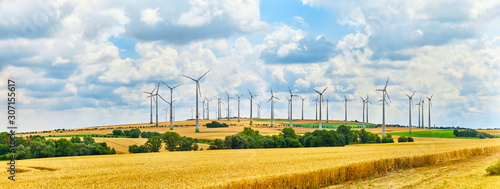 A big wind farm in north Germany photo