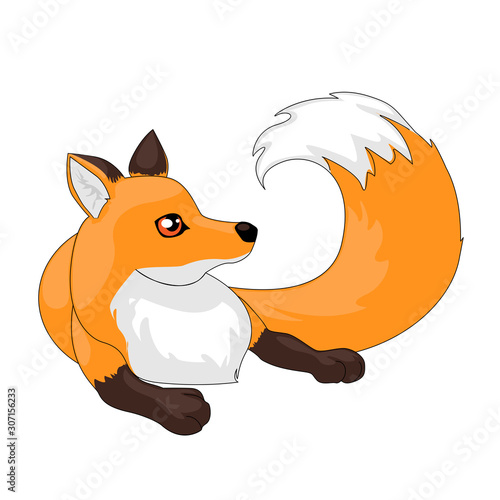 Fox vector illustration