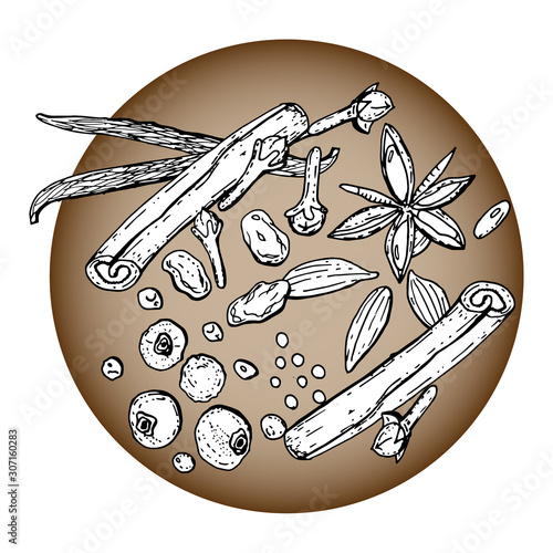 The ingredients for making mulled wine. Christmas winter drink made of ginger, cinnamon, cloves, vanilla, pepper, anise. Seasonal food. Spice and flavor. Decorative element. Isolated on a white backgr