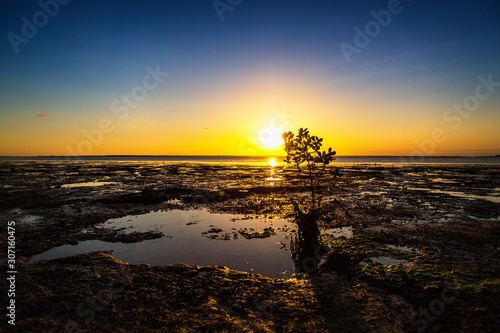 Sunset at the coast at low tide, mangrove silt with muddy ground, Zanzibar