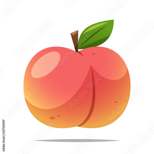 Peach fruit vector isolated illustration