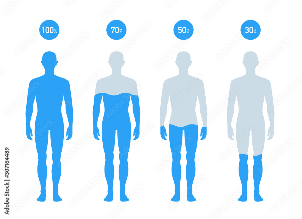 人体の水分割合の図