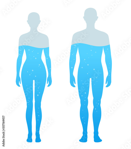 人体の水分割合の図 男女