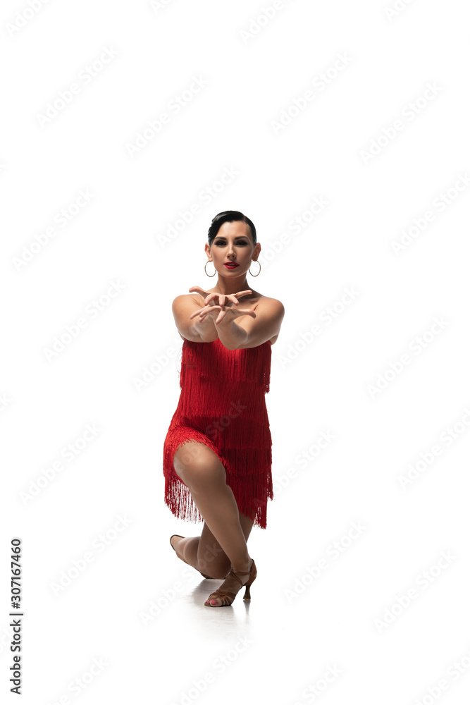 sensual, elegant tango dancer standing on knee and looking at camera on white background