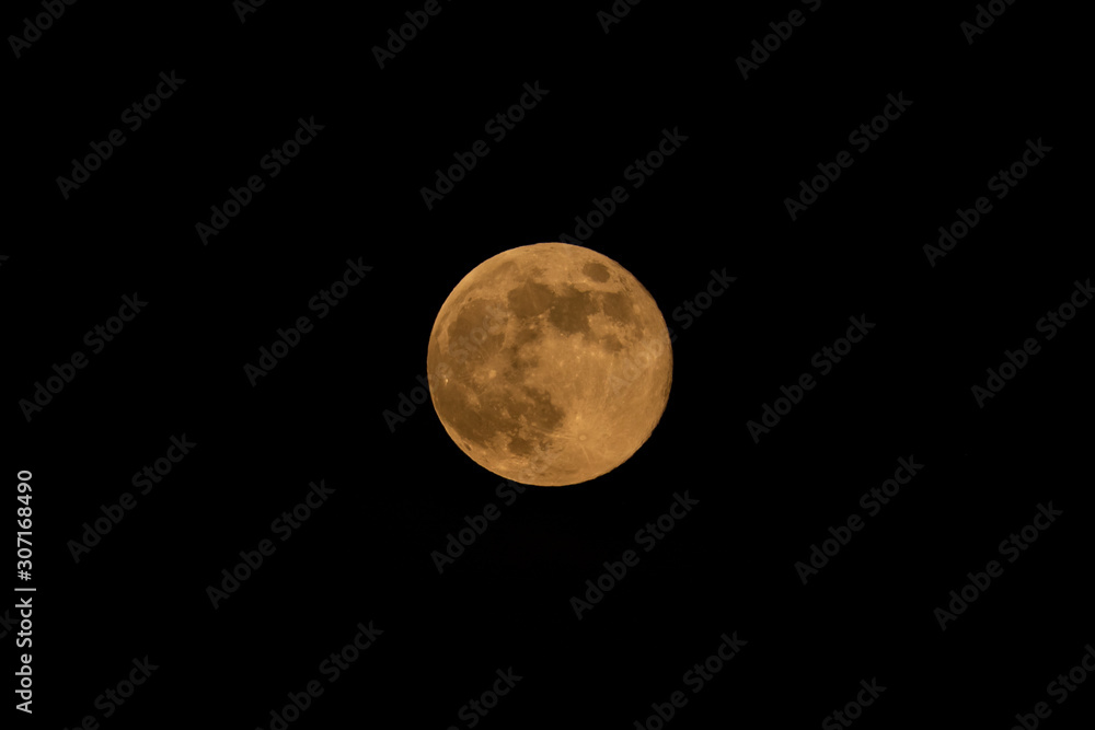 Obraz premium Fullmoon in the sky