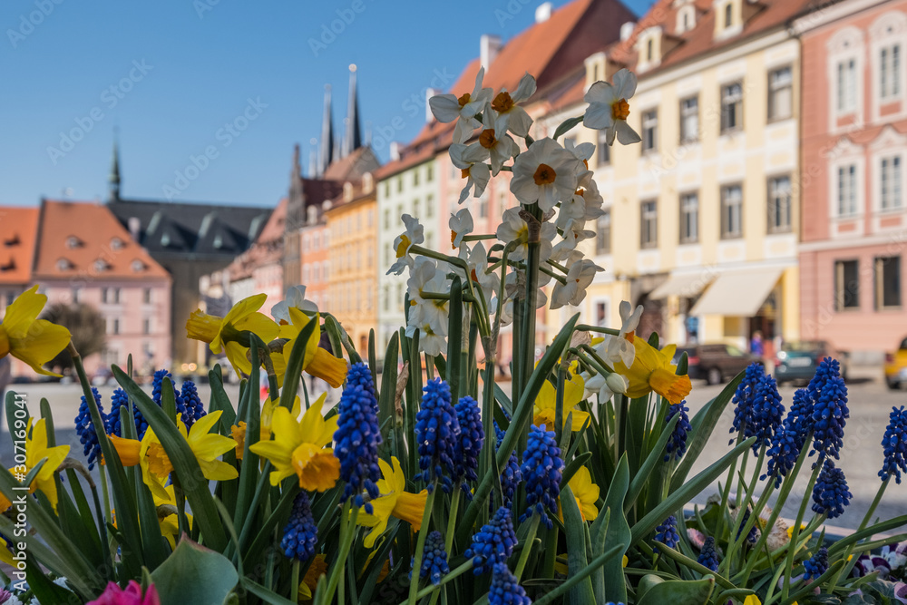 Townscape of Cheb,Karlovy Vary Region, Czech Republic. Spring time in the historical centre of the city. Flowers in the central square in Cheb.