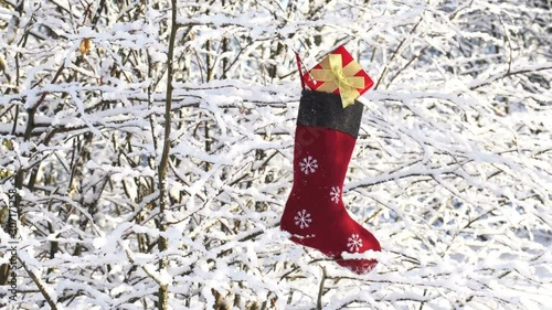 Christmas stocking hanging on the tree in the winter forest HD