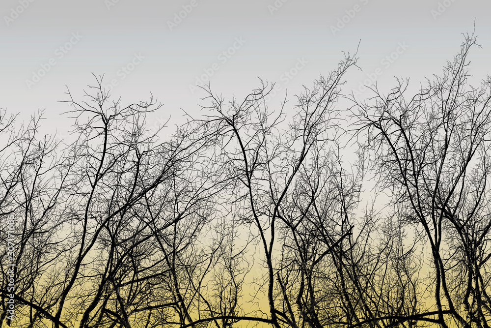 Tree branchs silhouette without leaves. Dead and lonely concept Tree branchs silhouette without leaves. Dead and lonely concept