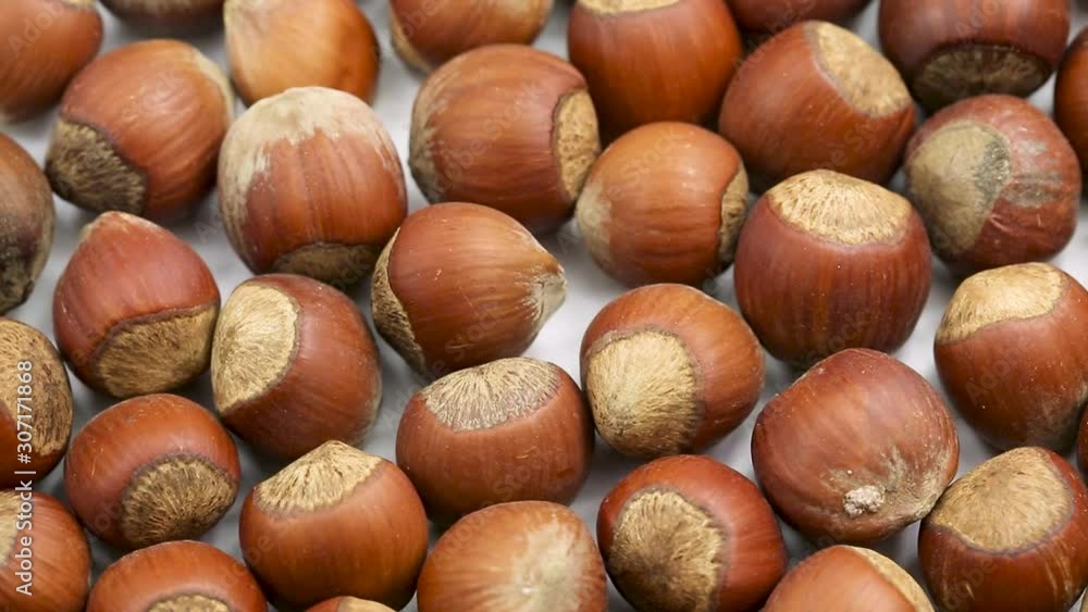 Hazelnut in a circular motion. closed Hazelnut in a circular motion. closed