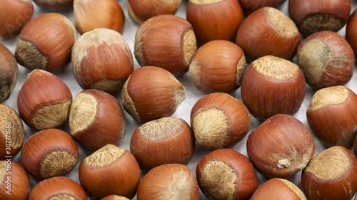 Hazelnut in a circular motion. closed