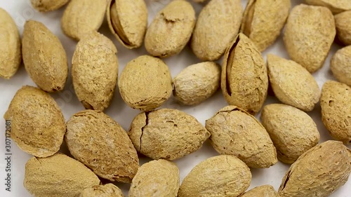 Inshell almonds in a circular motion. closed