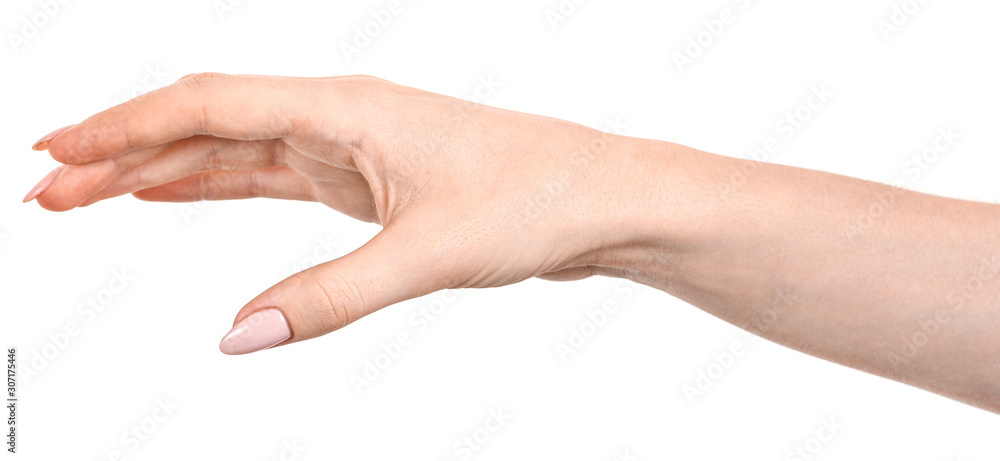 Female caucasian hands isolated white background showing gesture holds something or takes, gives. woman hands showing different gestures Female caucasian hands isolated white background showing gesture holds something or takes, gives. woman hands showing different gestures