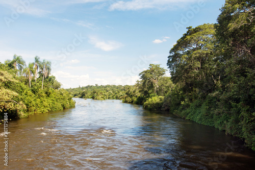 Iguazu River at Iguazu National Park in Misiones  Argentina