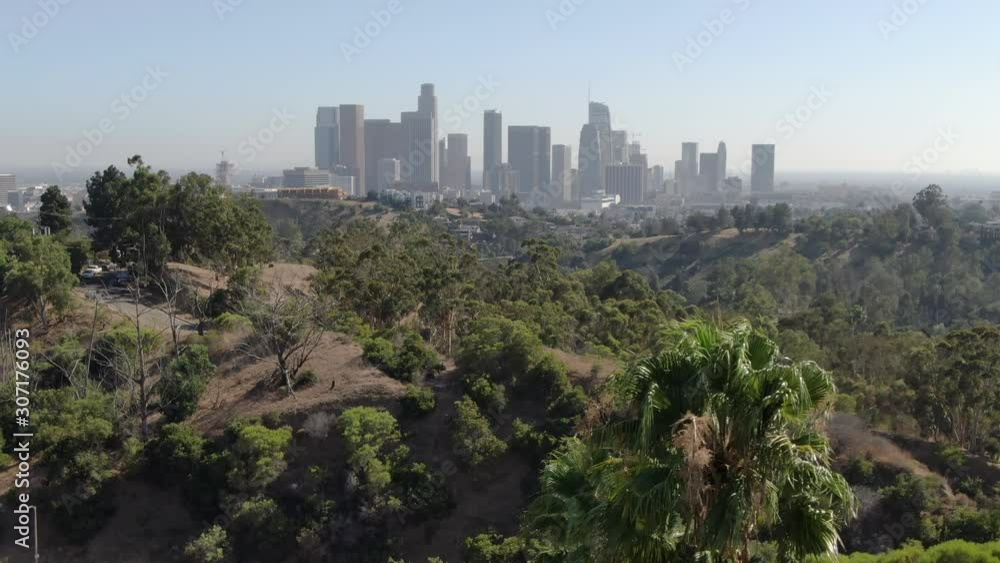 Los Angeles Downtown From Elysian Park Angeles Point Aerial Shot Palm Tree Fly Over Los Angeles Downtown From Elysian Park Angeles Point Aerial Shot Palm Tree Fly Over