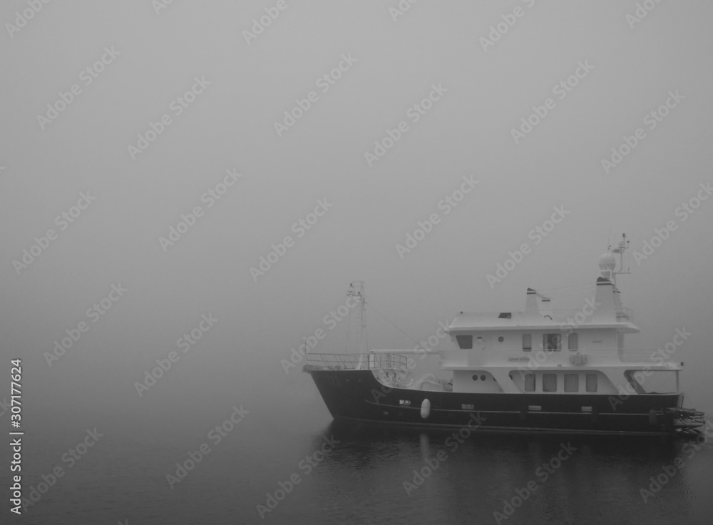 Naklejka premium fog