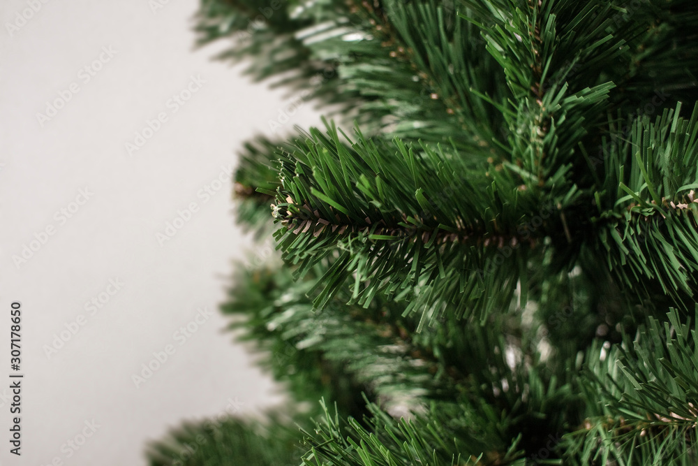 Bared Christmas tree . Christmas tree without decorations . Preparation for Christmas and New Year. Undecorated Christmas tree. Detail. Close up. Bared Christmas tree . Christmas tree without decorations . Preparation for Christmas and New Year. Undecorated Christmas tree. Detail. Close up.
