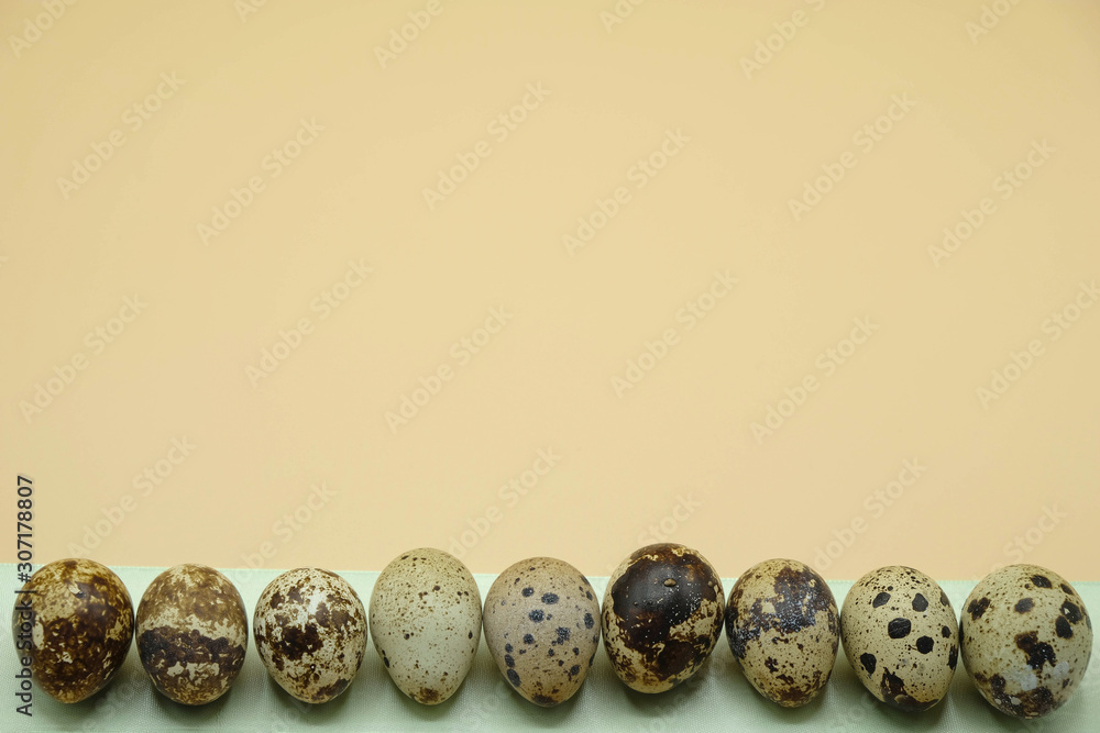Row of spotted quail eggs on a mint color ribbon. The objects at the bottom of the image. There is a place for writing text. Row of spotted quail eggs on a mint color ribbon. The objects at the bottom of the image. There is a place for writing text.