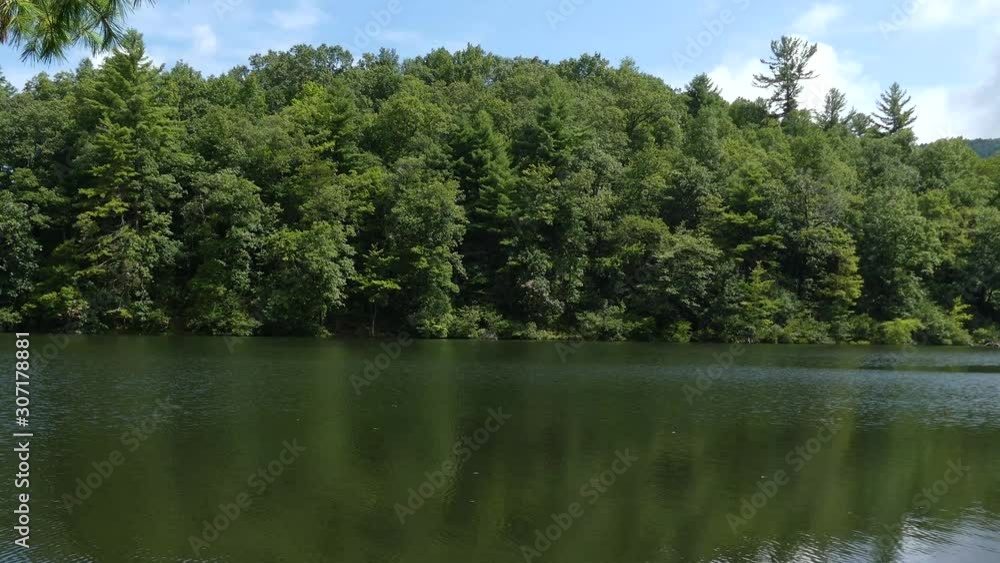 Georgia Lake Winfield Scott The lake and the opposite shore with trees and a pan from right to left Georgia Lake Winfield Scott The lake and the opposite shore with trees and a pan from right to left