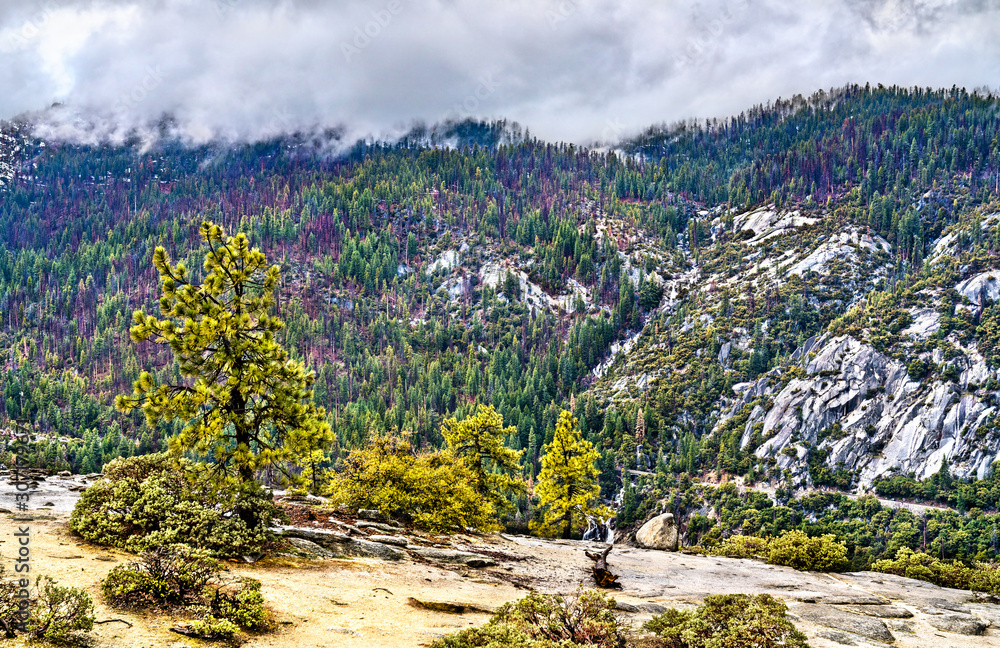 Landscape of Yosemite National Park in California