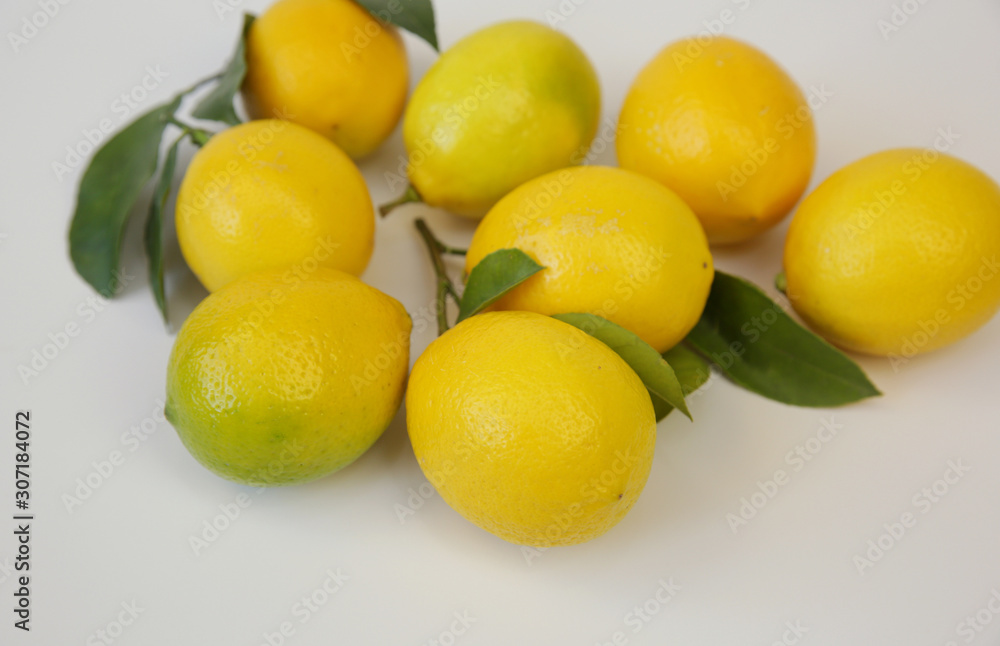 juicy lemons on a branch with leaves on a white background. Organic citrus fruits for a healthy diet. Tropical fruit. Close-up.