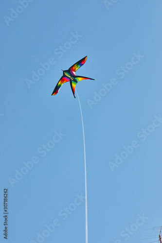 Kite flying on a rope in the blue sky on a bright sunny day