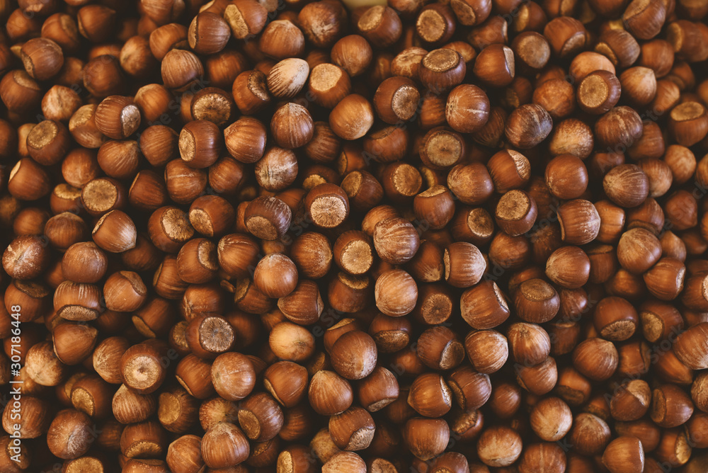 heap of raw hazelnut in shell close-up heap of raw hazelnut in shell close-up