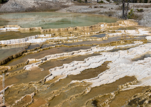 Close-up of travertine and limestone formations at Mammoth Hot Springs in Yellowstone National Park