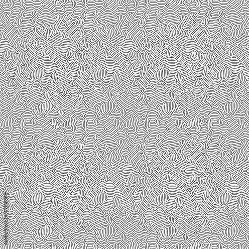 Organic background with rounded lines. Diffusion reaction seamless pattern. Linear design with biological shapes. Abstract vector illustration in black and white.