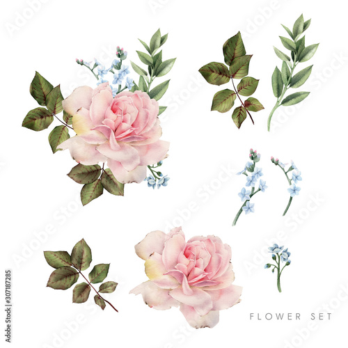 Roses. Flowers and leaves  can be used as greeting card  invitation card for wedding  birthday and other holiday and  summer background. Bouquet of flowers  watercolor illustration