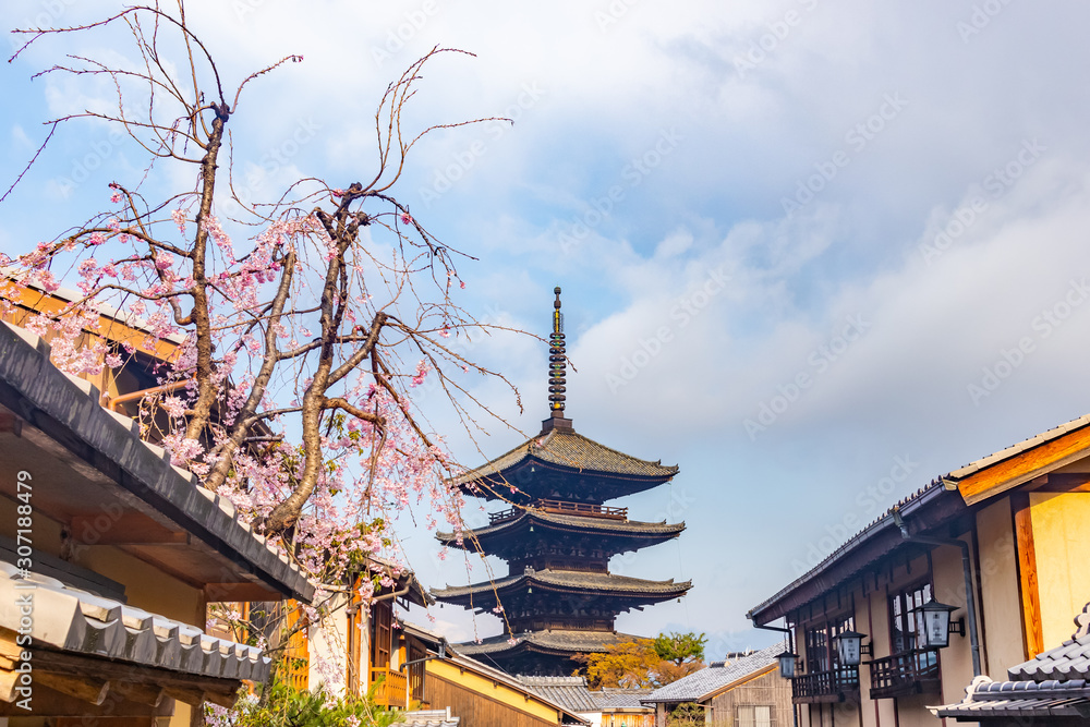 Fototapeta premium Kyoto Higashiyama district, Yasaka pagoda and cherry blossom.