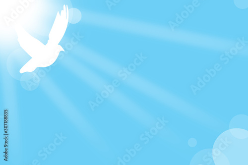 dove background  sky  blue background  dove illustration