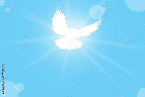 dove background  sky  blue background  dove illustration