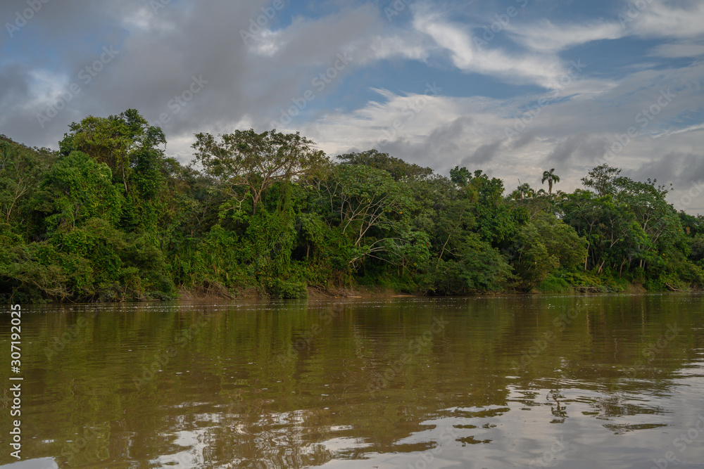 Amazon rain forest in a perfect and lovely sunny day Amazon rain forest in a perfect and lovely sunny day