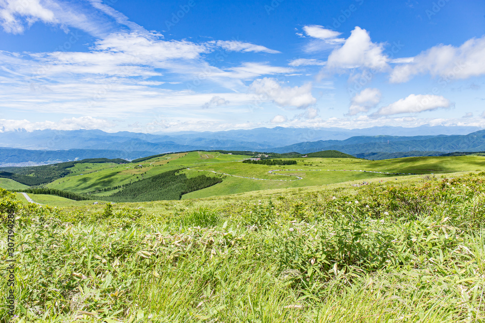 Naklejka premium 高原の風景