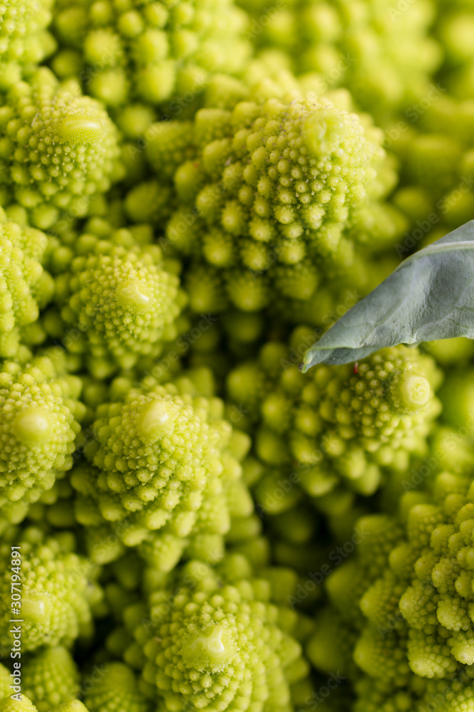 Macro close-up of green romanesco with leaf focused vertically Macro close-up of green romanesco with leaf focused vertically