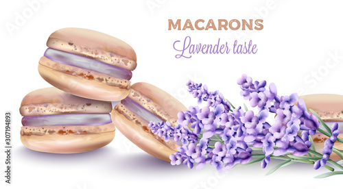French macaroon sweets with lavender taste and color. Flower decorations. Watercolor vector