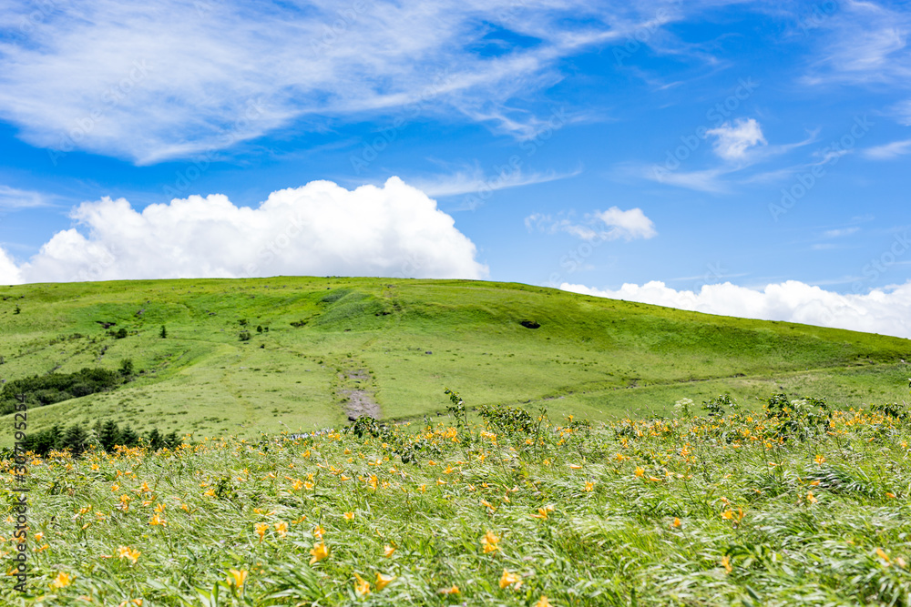 高原の風景