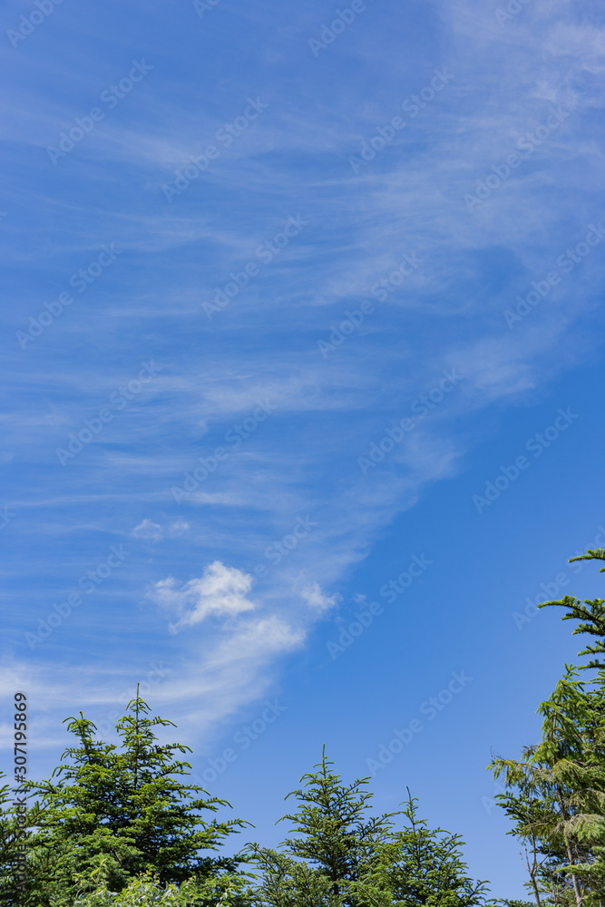 Obraz premium 高原の風景