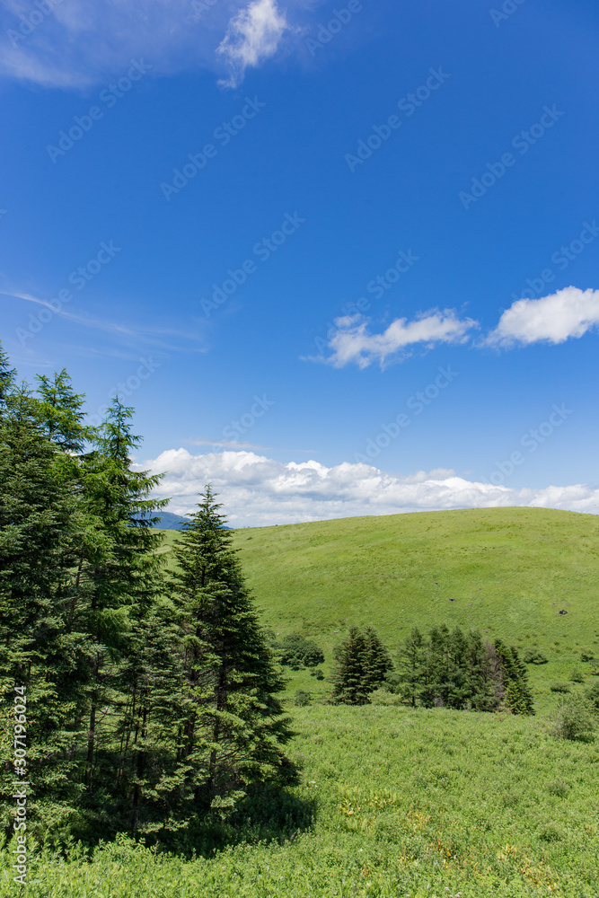 高原の風景