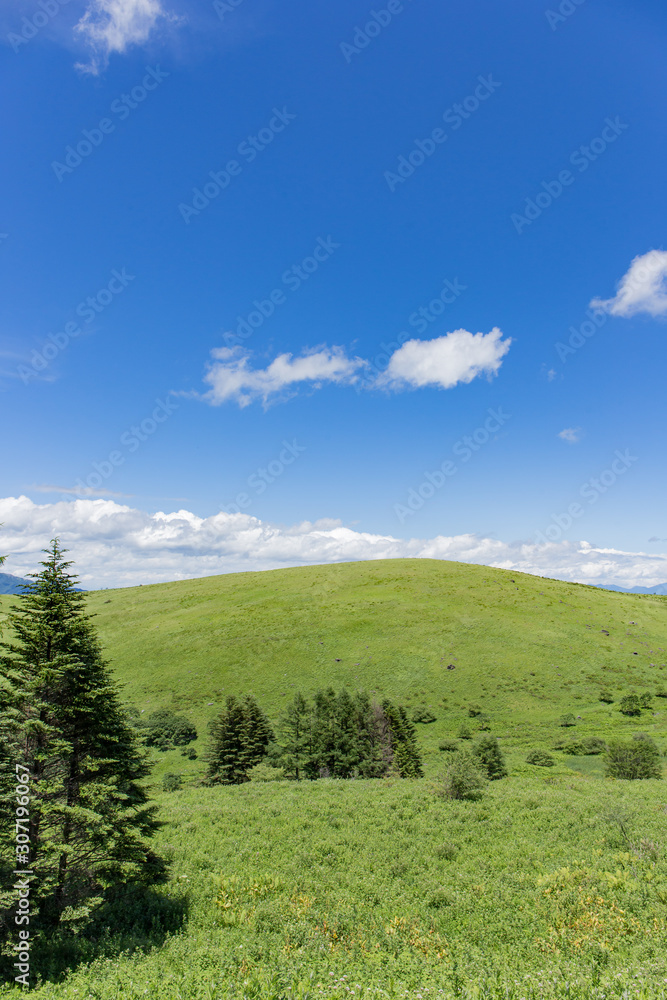 高原の風景