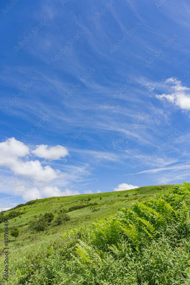 高原の風景 高原の風景