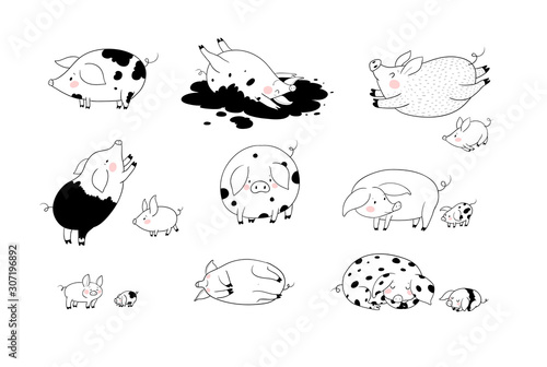 Set with cute cartoon pigs. Farm animals. Pig in different poses