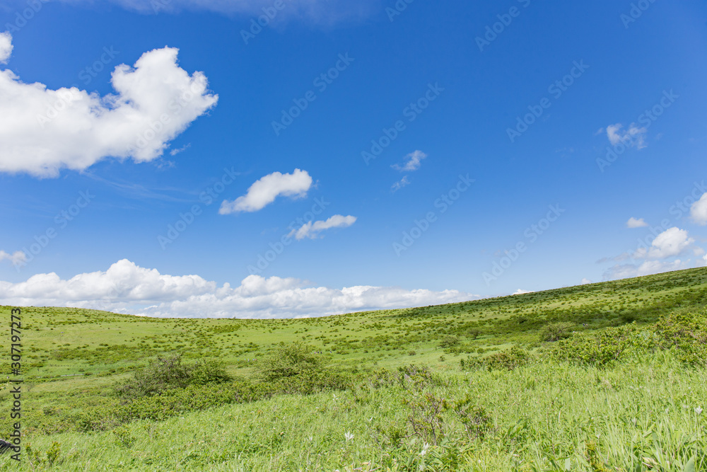 高原の風景