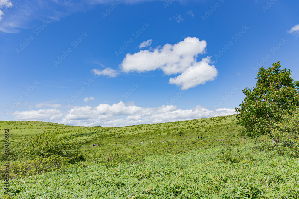 高原の風景