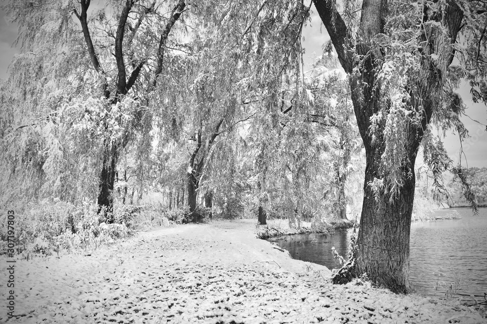 custom made wallpaper toronto digitalWinter Road