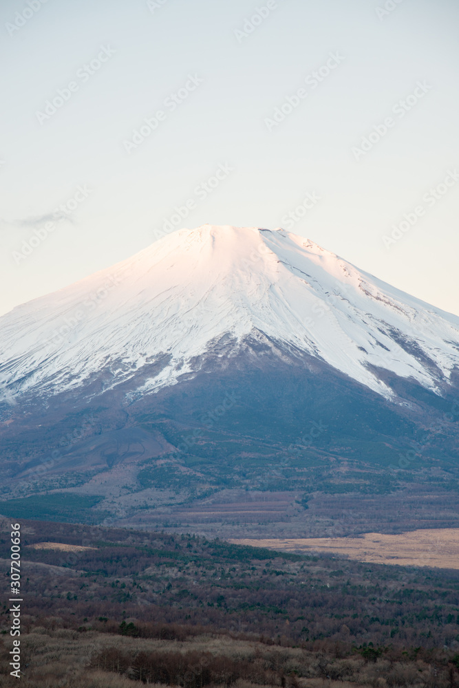 Fototapeta premium 冬の富士山 縦構図