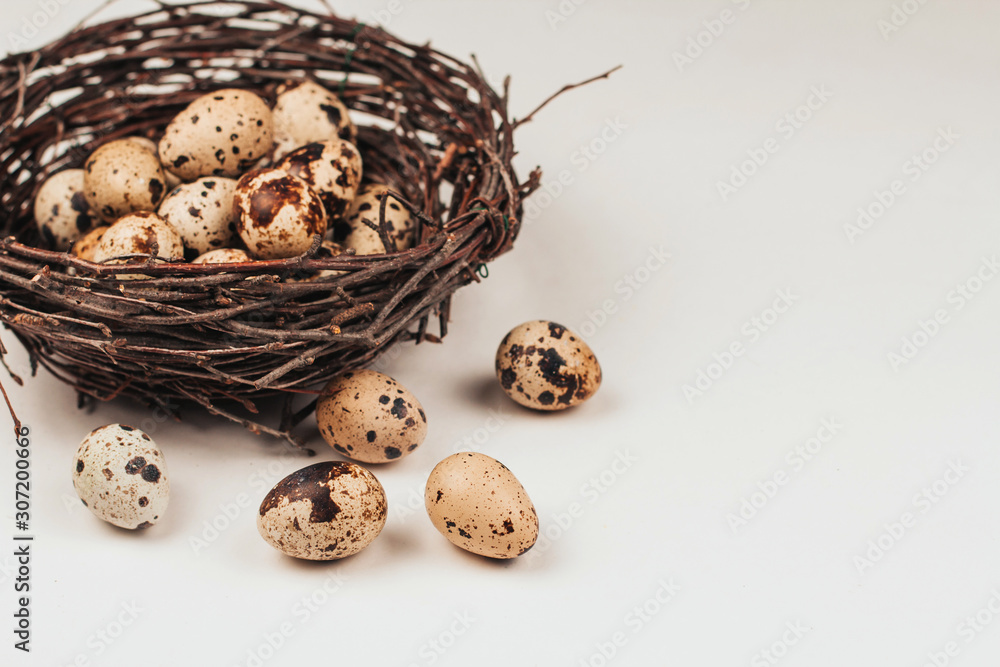 quail eggs in a nest made of branches. quail eggs in a nest made of branches.