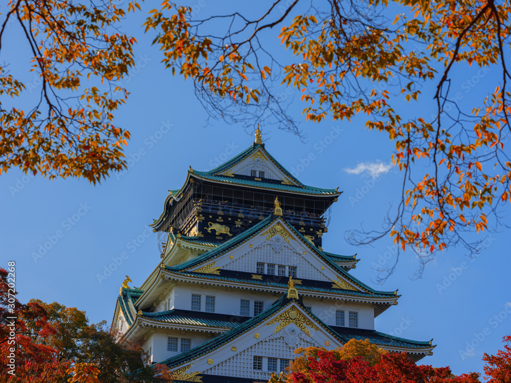 Osaka Castle park in Japan in autumn Osaka Castle park in Japan in autumn